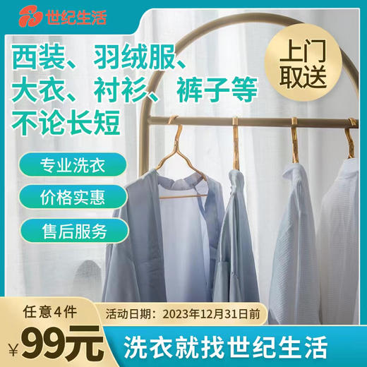 【到家服务】【到家服务】专业洗衣【CS】【DJ】 商品图0