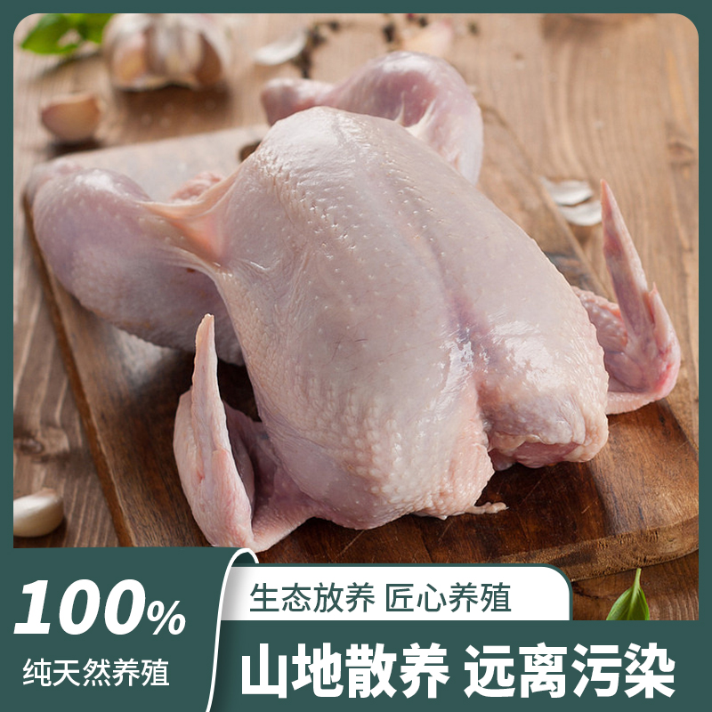 禾田元散养溜达鸡2.3-2.5斤 正宗农家散养