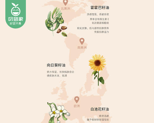 【预售-12月29日配送】RYDEEN植物精油保湿润唇膏/1份（4.5g*5支）限用日期：28年8月 商品图4