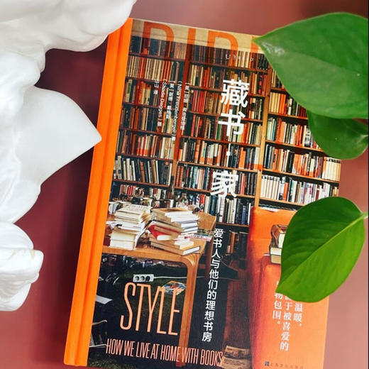 藏书·家：爱书人与他们的理想书房 商品图3