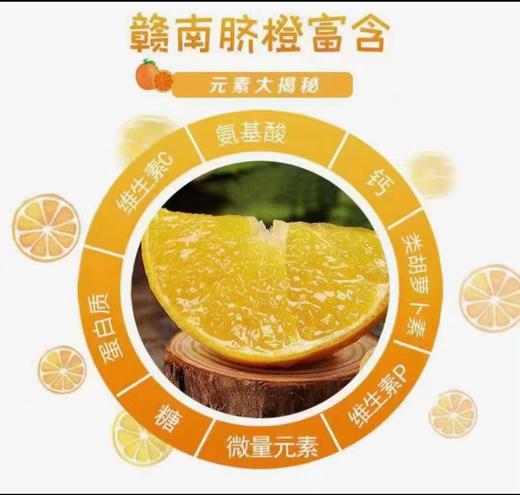 【红土赣南脐橙🍊】 产地直发，一件包邮👍树上熟🌳现摘现发🔥黄金糖酸比17.5°酸甜皆由你😋土好，橙更好👍 酸甜可口，清爽解腻，柔软化渣💕 商品图1