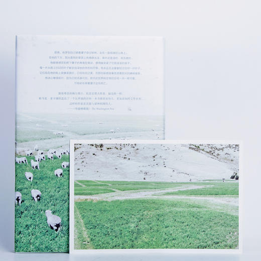 上帝之子 商品图4