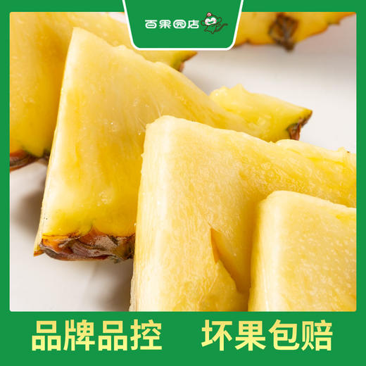 PAGODA百果园 金钻凤梨2粒家庭装（3斤以上） 商品图1