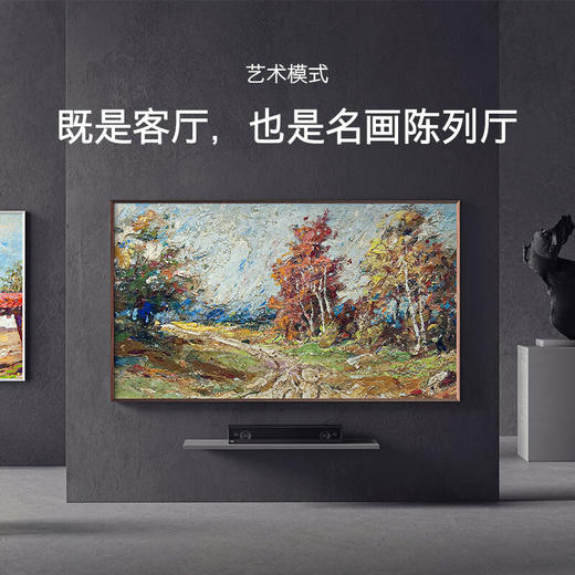 创维/电视/100Q53 商品图1