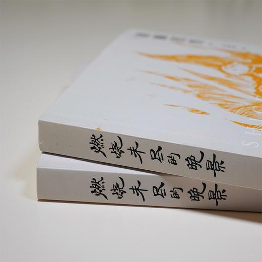 燃烧未尽的晚景 商品图6