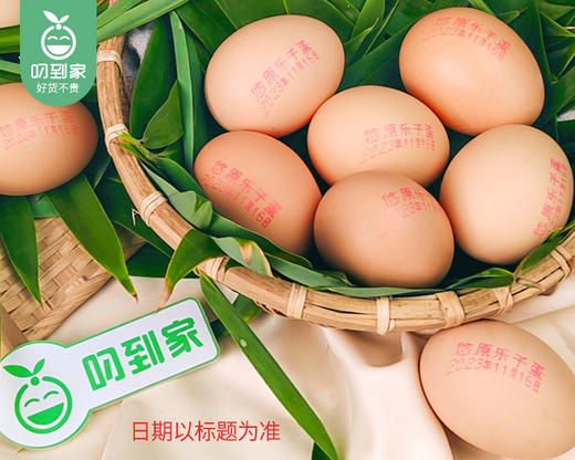 【预售-12月29日配送】悠原×乐子山养土鸡蛋/1份（600g*2盒，每盒15枚）生产日期：12月24日左右 商品图1