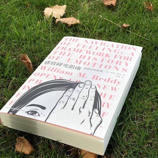 感情研究指南：情感史的框架 商品图1