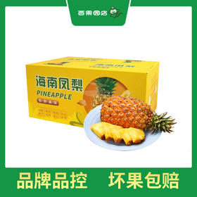 PAGODA百果园 金钻凤梨3粒彩箱装（4.5-5斤）