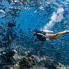 马来西亚仙本那诗巴丹潜水一日游 商品缩略图5