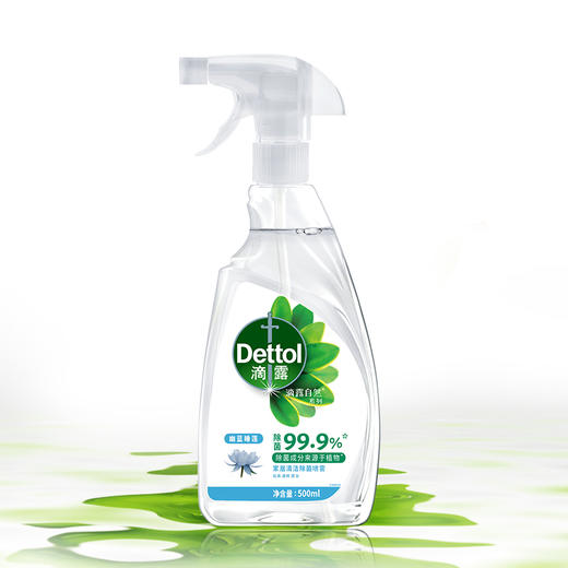 滴露家居清洁除菌喷雾500ml 商品图1