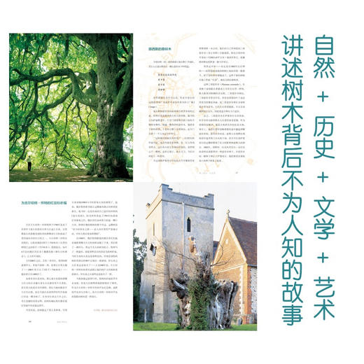 英伦寻树记 商品图3