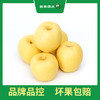 PAGODA百果园 A级-黄金维纳斯苹果5斤礼盒装（净重4.5~5斤） 商品缩略图0