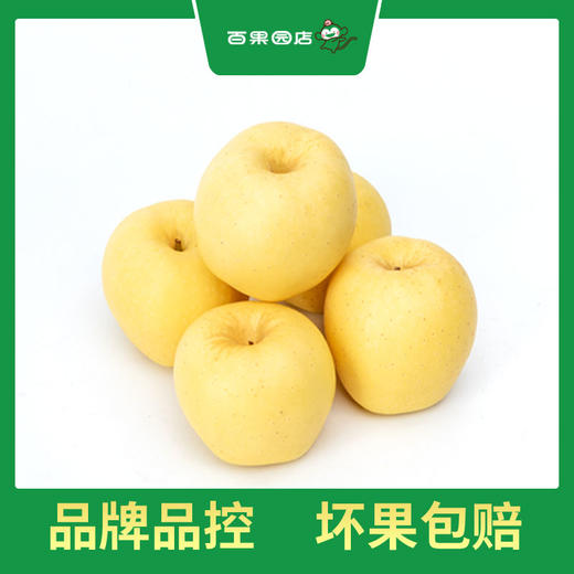 PAGODA百果园 A级-黄金维纳斯苹果5斤礼盒装（净重4.5~5斤） 商品图0
