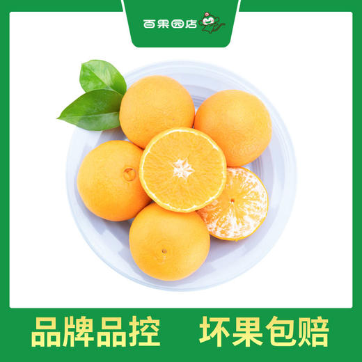 PAGODA百果园 A级-象山红美人蜜柑（中）9粒礼盒装 商品图5