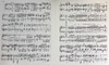 【中商原版】亨乐原版 肖邦 降B小调钢琴奏鸣曲op35 Chopin Klaviersonate b-moll op.35 钢琴独奏 HN289 进口艺术 商品缩略图7