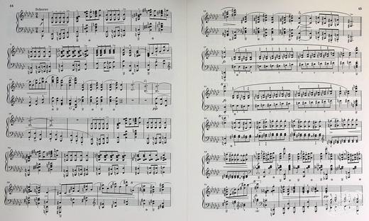 【中商原版】亨乐原版 肖邦 降B小调钢琴奏鸣曲op35 Chopin Klaviersonate b-moll op.35 钢琴独奏 HN289 进口艺术 商品图7