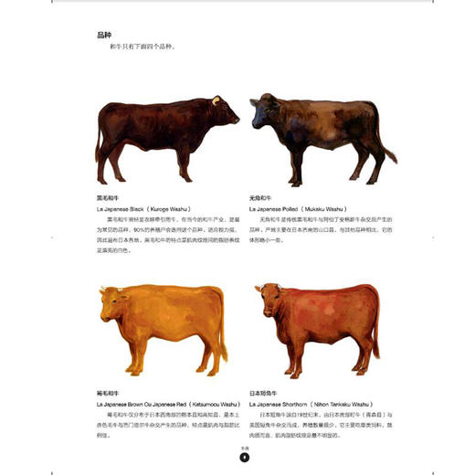 肉料理原来是这么回事儿 商品图3