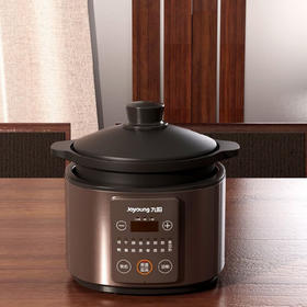 九阳电炖锅DG40Z-GD730