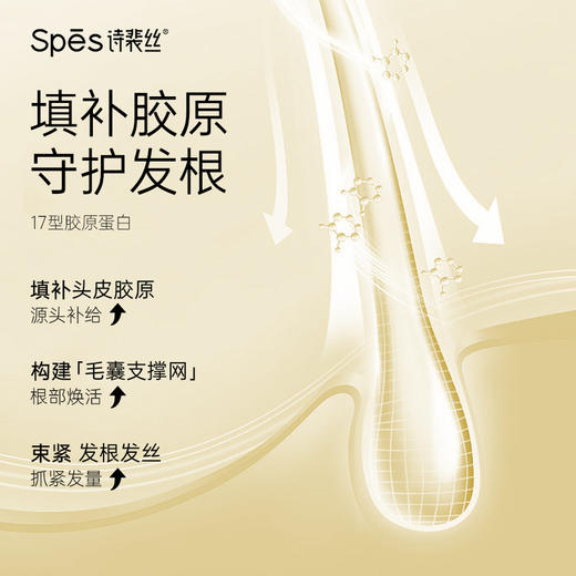 【净澈头皮油脂 发丝自在生长】Spes 姜茸胶原控油丰盈洗发水500ml 黄胖子【双12进行中❗】 商品图5