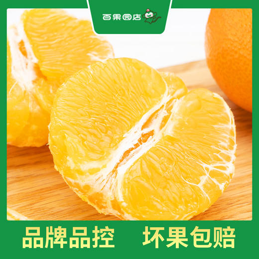 PAGODA百果园 A级-象山红美人蜜柑（中）9粒礼盒装 商品图1