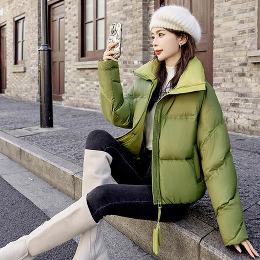 冬季新款，泡芙立领短款白鸭绒羽绒服HR-AQHUI7759 商品图6