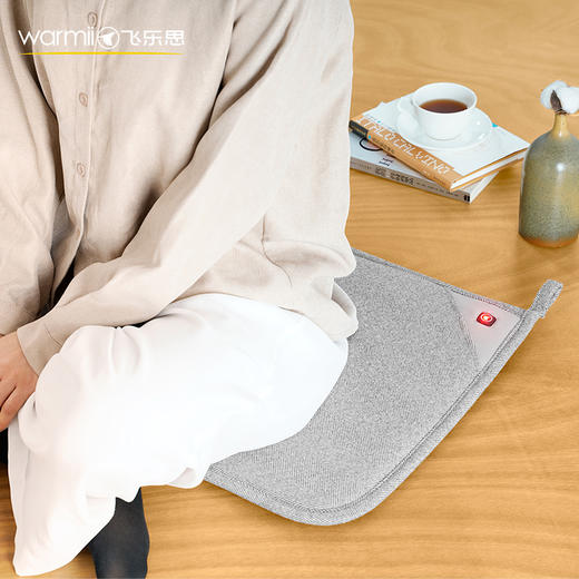 飞乐思多功能智能发热垫 商品图2