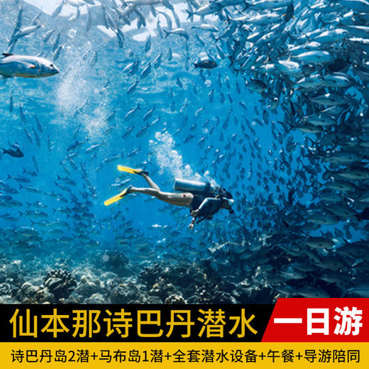 马来西亚仙本那诗巴丹潜水一日游 商品图0