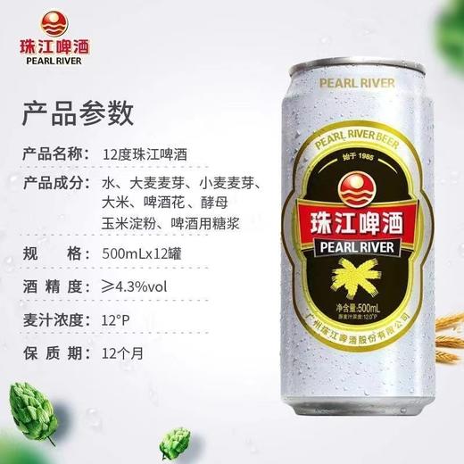 12°P珠江啤酒500ml*12罐整箱罐装 商品图3
