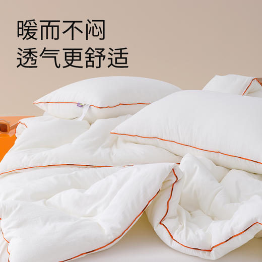 艾美家  多巴胺四季恒温被 商品图4