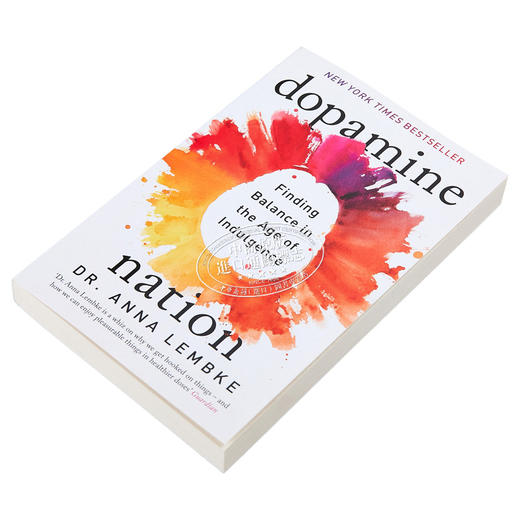 【中商原版】成瘾 多巴胺国家 在放纵时代寻找平衡 英文原版 Dopamine Nation Dr Anna Lembke 心理学 哲学 商品图2