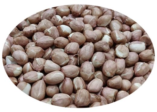 椰妃   冻干花生米  酥脆清香 酒友新宠 冻干花生每袋200克 商品图1