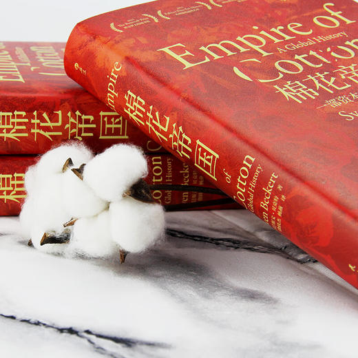 【特价】棉花帝国：一部资本主义全球史（美）斯文·贝克特 著 商品图3