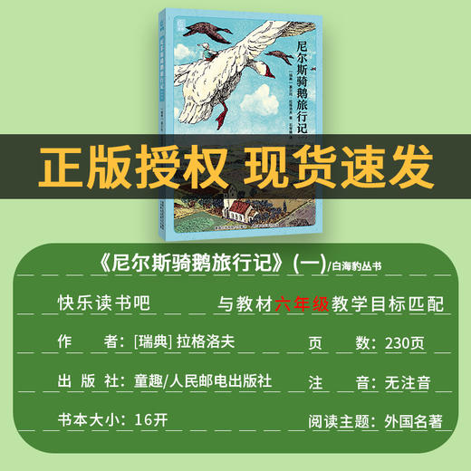 尼尔斯骑鹅旅行记白海豹丛书三册全套塞尔玛·拉格洛夫著/石琴娥译童趣出版集团鲁滨逊漂流记汤姆·索亚历险记 商品图5