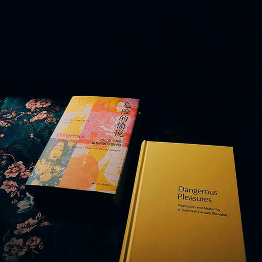 危险的愉悦：20世纪上海的娼妓问题与现代性（美）贺萧 著 商品图6