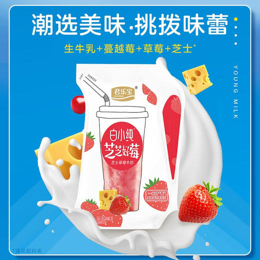 君乐宝 白小纯新鲜壶  200ml*12壶 商品图1