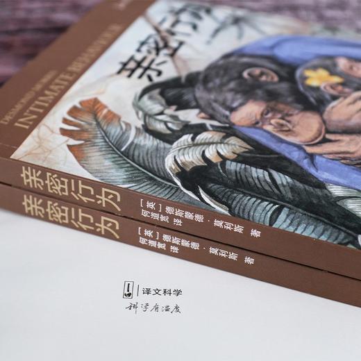 亲密行为 商品图5