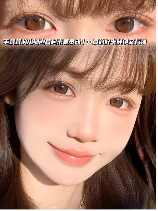 Truffles 松子巧克力「含玻尿酸」半年抛型 商品图0