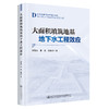 大面积填筑地基地下水工程效应 商品缩略图0