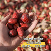 贝壳 新疆若羌  甜心福枣 树上自然吊干的红 商品缩略图1