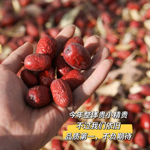 贝壳 新疆若羌  甜心福枣 树上自然吊干的红 商品图1