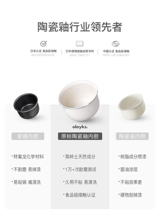 olayks出口电压力锅家用2-3人全自动智能2.5L小型迷你高压锅饭煲 商品图3