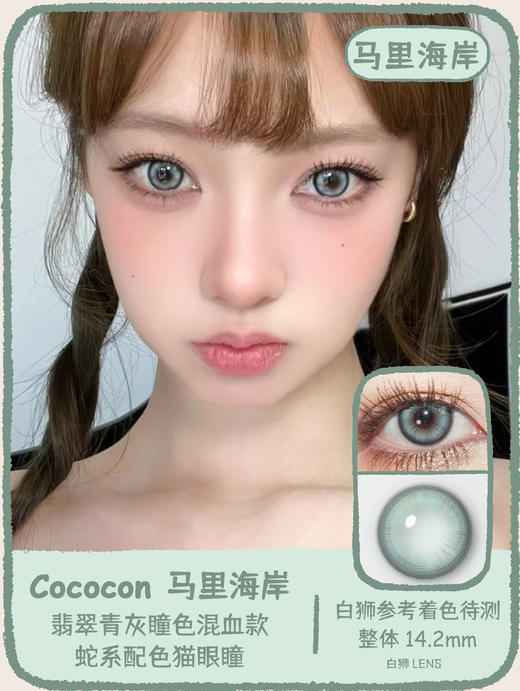 Cococon旗下｜末日冰岛&马里海岸&旷野大地｜14.2mm白狮参考着色待测｜ 年抛  2片 商品图5