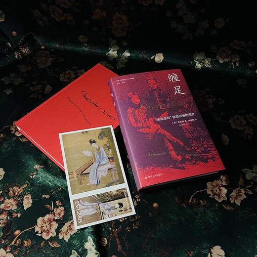 缠足：“金莲崇拜”盛极而衰的演变（美）高彦颐 著 商品图3