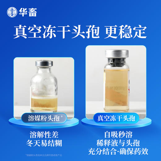 华畜兽药0.5g头孢噻呋钠兽用注射用液猪牛羊针剂消炎药 商品图2