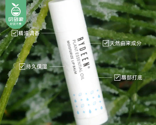 【预售-12月29日配送】RYDEEN植物精油保湿润唇膏/1份（4.5g*5支）限用日期：28年8月 商品图1
