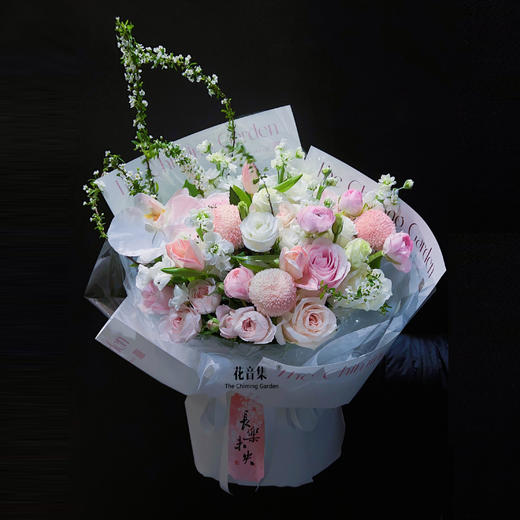 柔柔的世界 商品图0