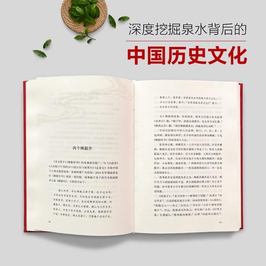 泉水里的中国：一部别致的华夏文明演化史 余道范 著 商品图4