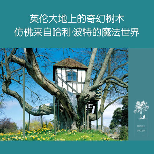 英伦寻树记 商品图5
