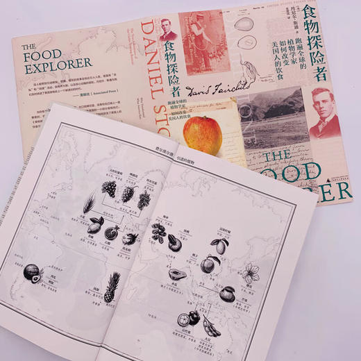 食物探险者 商品图2