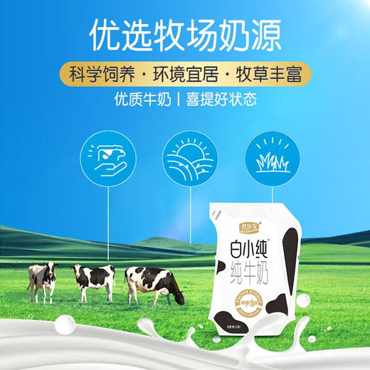 君乐宝 白小纯新鲜壶  200ml*12壶 商品图3